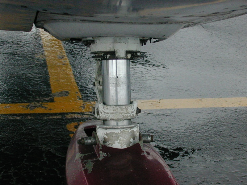 Nosegear